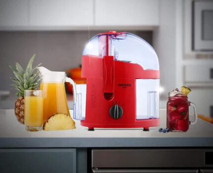 450W Kutchina Ella Plastic Juicer